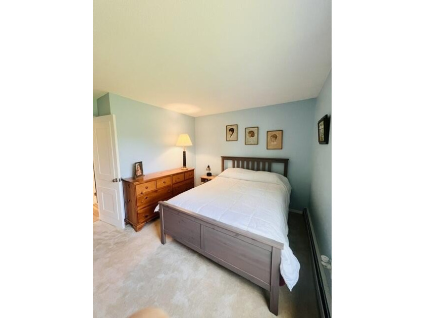 Truly Move-In Ready, This Lovely Home on Lake Huron Has So Many - photo 29