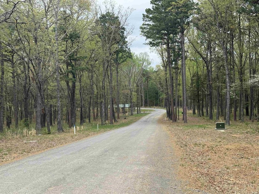 Build your dream home on this beautiful lot nestled in a new - photo 4