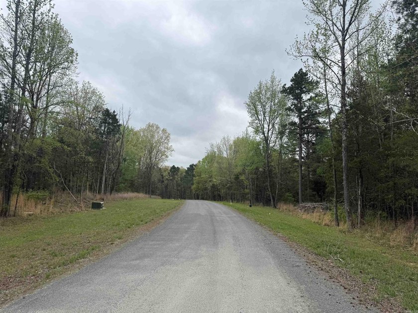 Build your dream home on this beautiful lot nestled in a new - photo 5