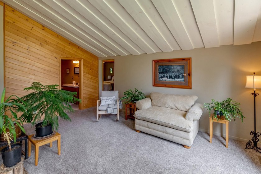Towering mature pine trees on 5 private acres, this beautiful - photo 8
