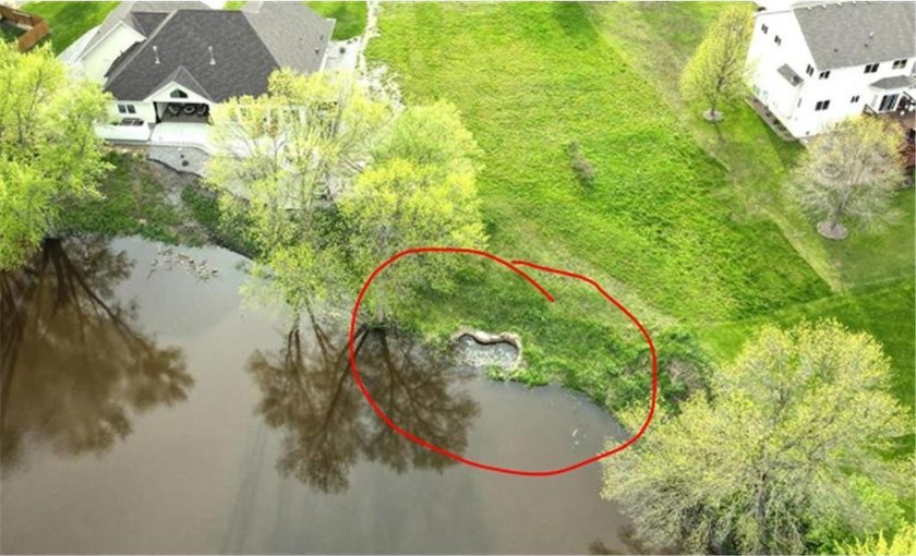Fantastic Elk River community lot on the Mississippi River ready - photo 8