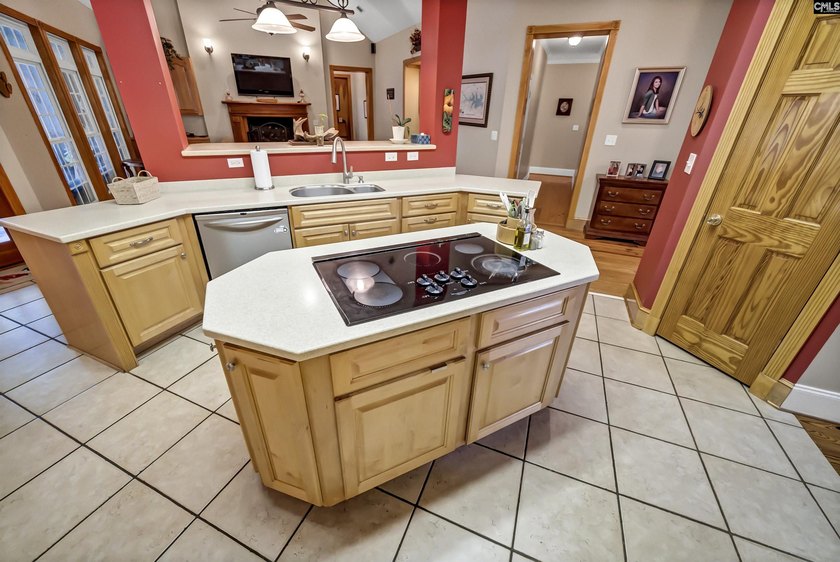 Discover unparalleled space on Lake Murray in Saluda County - photo 26