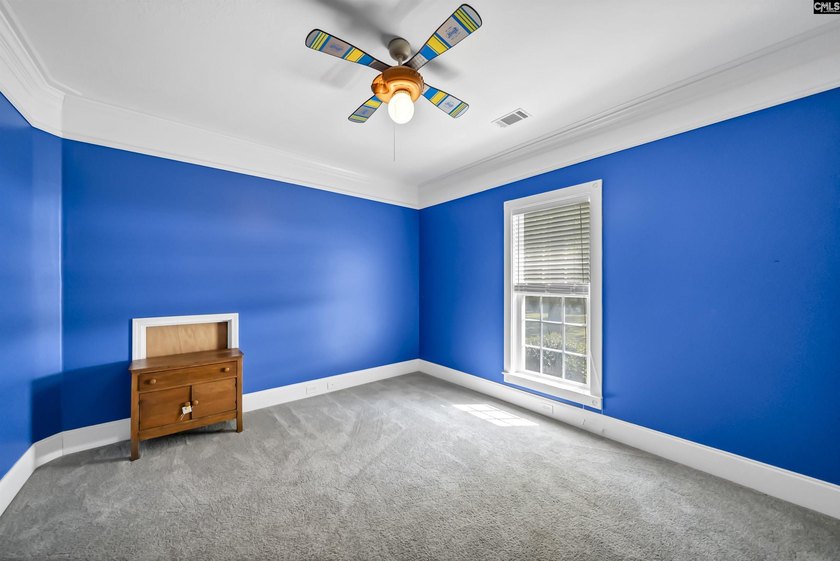 Discover unparalleled space on Lake Murray in Saluda County - photo 42