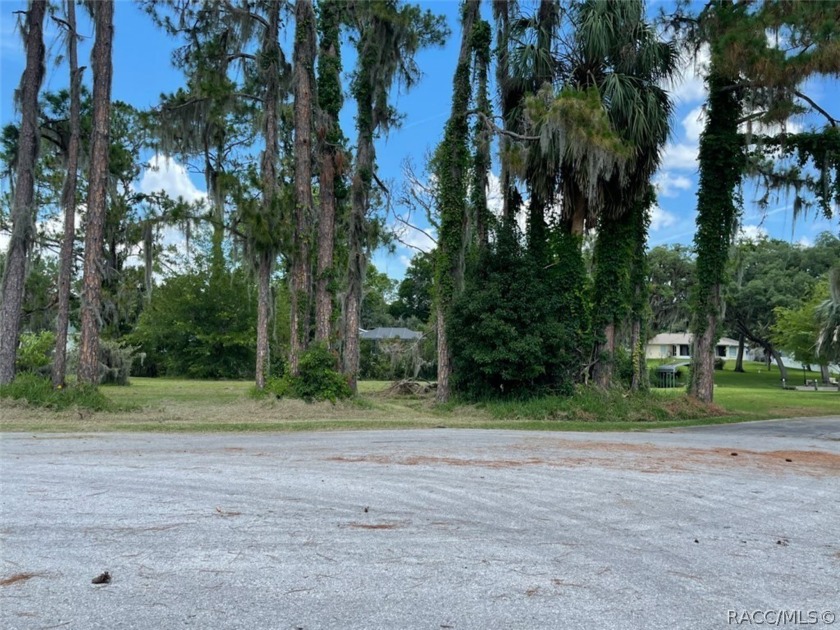 0 SE 197th Place, Dunnellon, FL 34431, 2752912