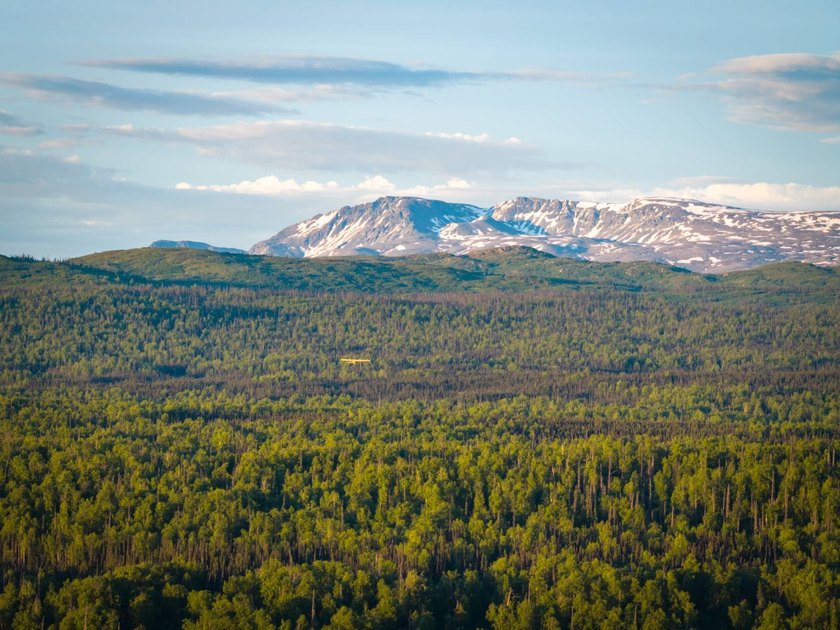 Take a look at this beautiful 7.82 +/- acre property in Baldy - photo 33