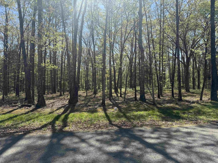 Beautiful lot with mature trees located in a new gated - photo 3