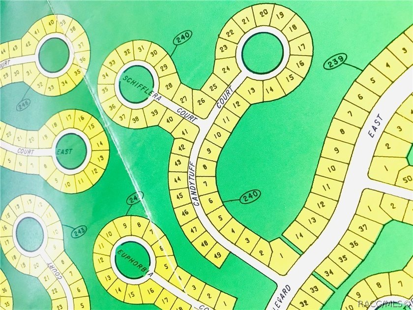 Premium home site in Sugarmill Woods. Lot 30. Block - photo 2