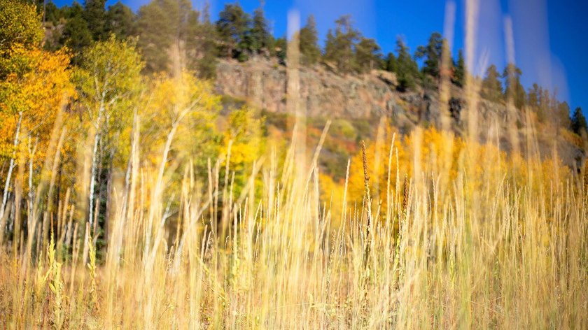 The Ranch at Angel Fire is a rare legacy opportunity to own the - photo 9