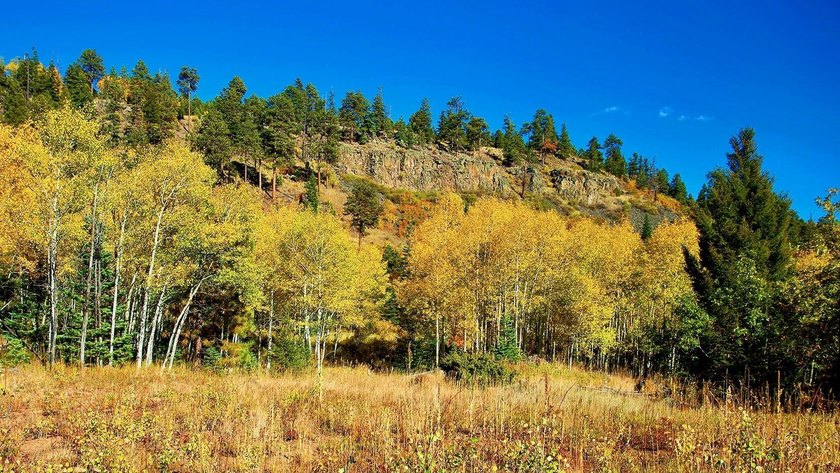 The Ranch at Angel Fire is a rare legacy opportunity to own the - photo 10