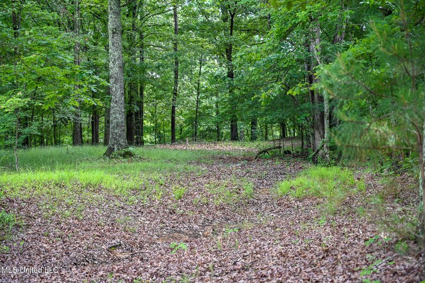 Discover the perfect opportunity to own 2 acres +/- of beautiful - photo 7
