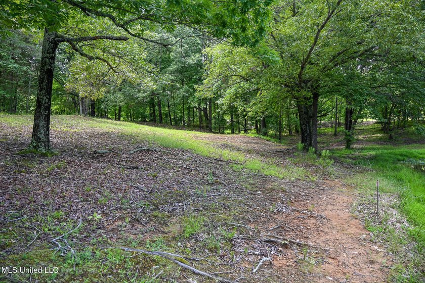 Discover the perfect opportunity to own 2 acres +/- of beautiful - photo 8