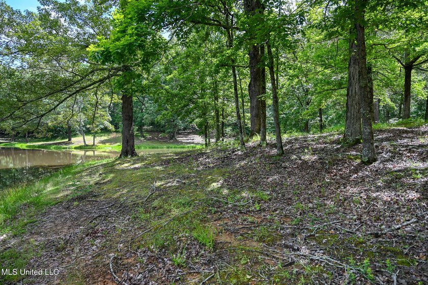 Discover the perfect opportunity to own 2 acres +/- of beautiful - photo 9