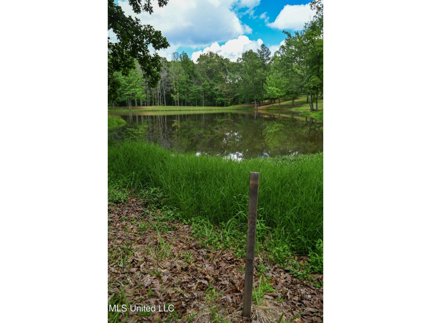 Discover the perfect opportunity to own 2 acres +/- of beautiful - photo 7