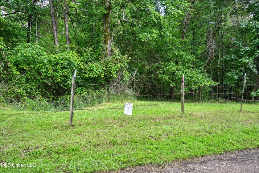 Discover the perfect opportunity to own 2 acres +/- of beautiful - photo 8