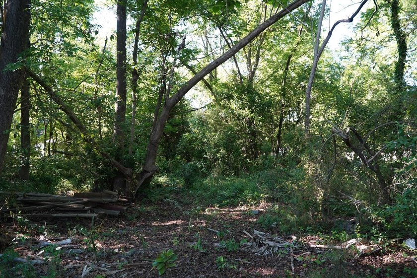 Nine parcels on 1.75 acres in the city of Georgetown! Mixed with - photo 16