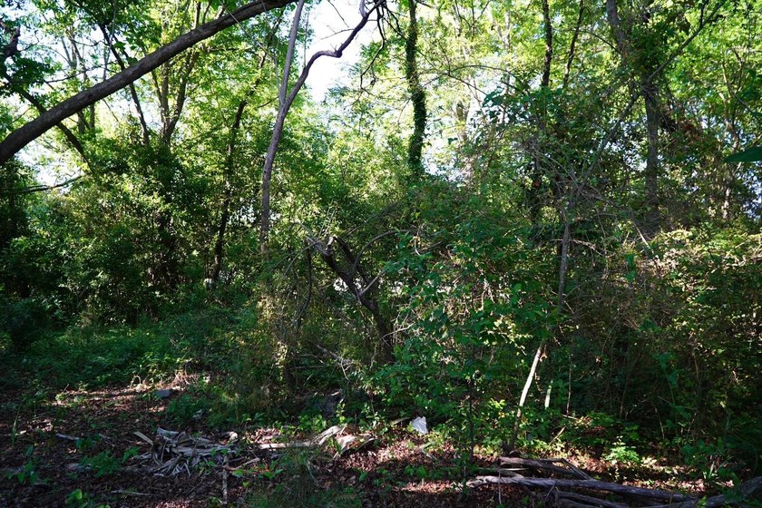 Nine parcels on 1.75 acres in the city of Georgetown! Mixed with - photo 17