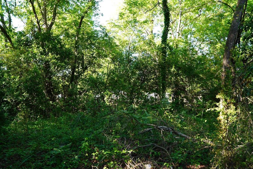 Nine parcels on 1.75 acres in the city of Georgetown! Mixed with - photo 18
