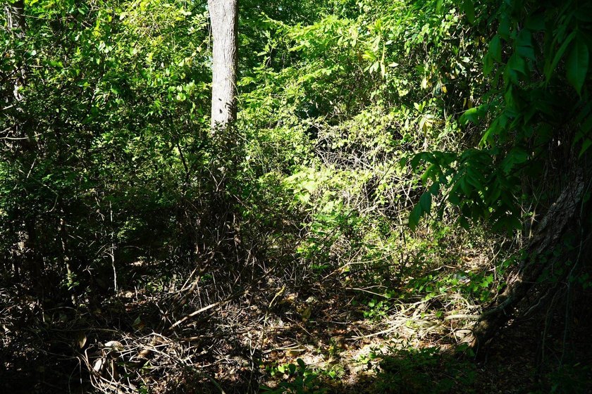 Nine parcels on 1.75 acres in the city of Georgetown! Mixed with - photo 24