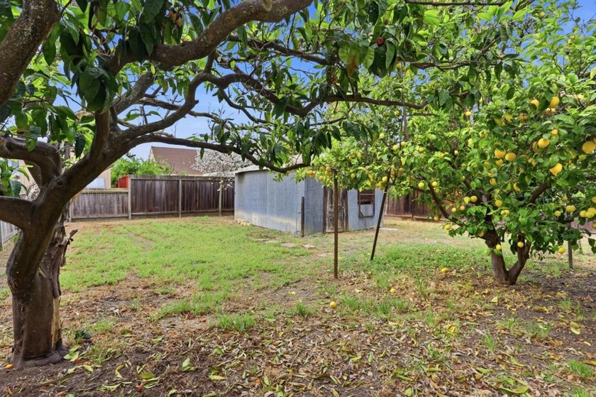 **Please go to ML82041310 for 3641 McKee Rd, San Jose listing - photo 44