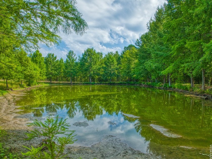 Luxury country living meets East Texas charm on this stunning 14 - photo 3