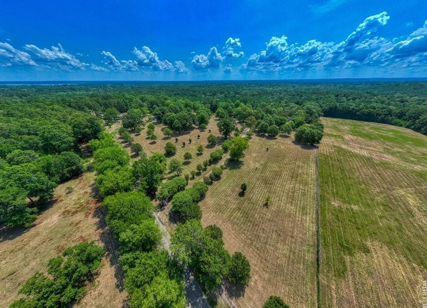 Luxury country living meets East Texas charm on this stunning 14 - photo 5
