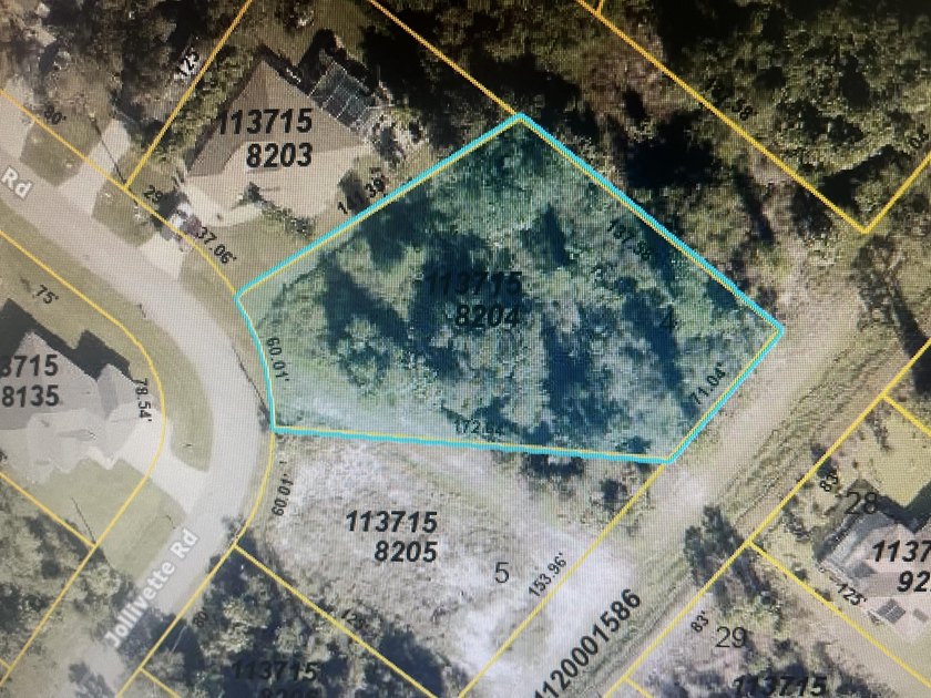 LARGE LOT, almost 1/2 acre, it's like having a double lot, able - photo 2