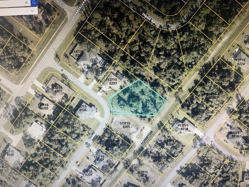 LARGE LOT, almost 1/2 acre, it's like having a double lot, able - photo 4