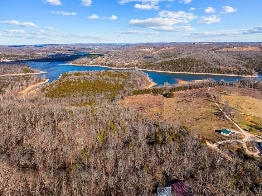 WHAT A VIEW!! Beautiful 6-acre vacant land parcel in Omaha, AR - photo 4