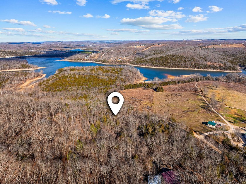 WHAT A VIEW!! Beautiful 6-acre vacant land parcel in Omaha, AR - photo 5