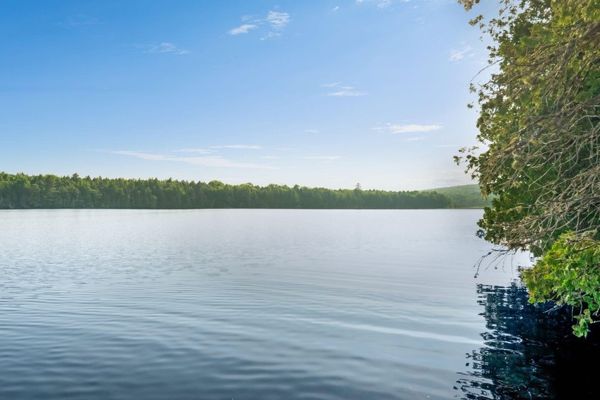 Discover a rare opportunity on Bill Green Pond with this - photo 42