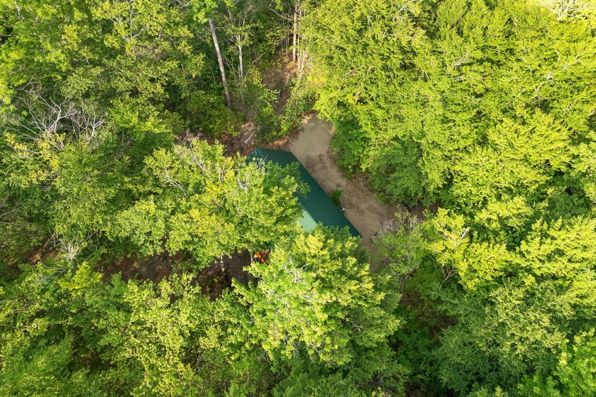 Discover a rare opportunity on Bill Green Pond with this - photo 48