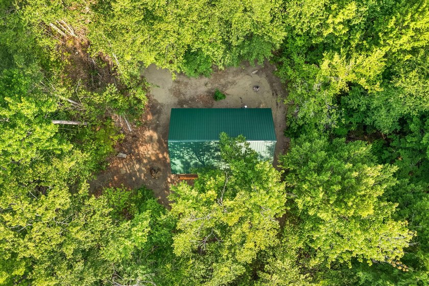 Discover a rare opportunity on Bill Green Pond with this - photo 49
