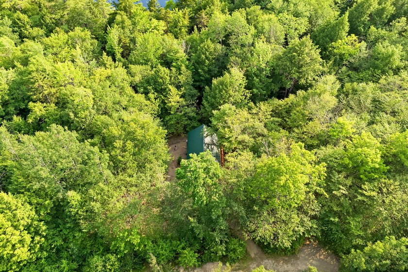 Discover a rare opportunity on Bill Green Pond with this - photo 50