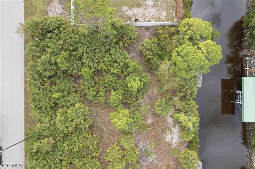 GULF ACCESS CANAL LOT! Your opportunity to own a spacious - photo 8