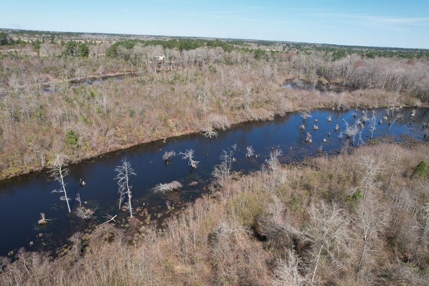 The 196 acre parcel of land located at 226 Blue Lake Road Petal - photo 23