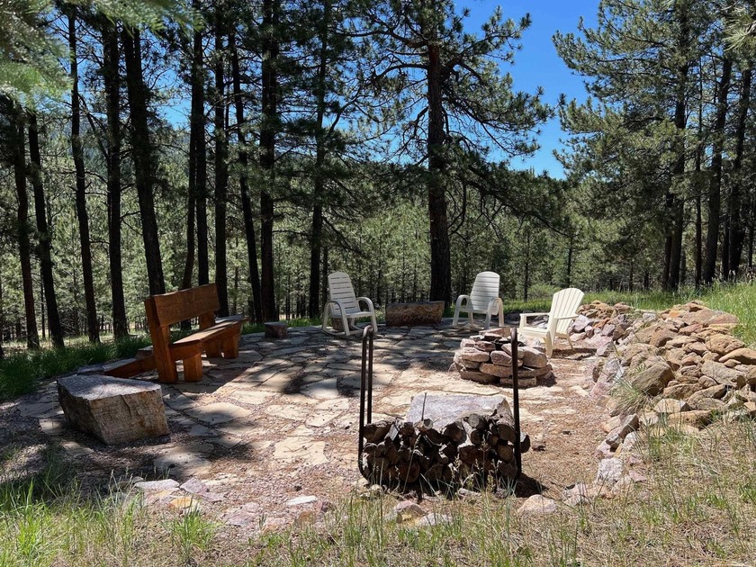 RUSTIC CHARM, SPACIOUS LIVING AREAS, MODERN UPGRADES, FIRE PIT - photo 2