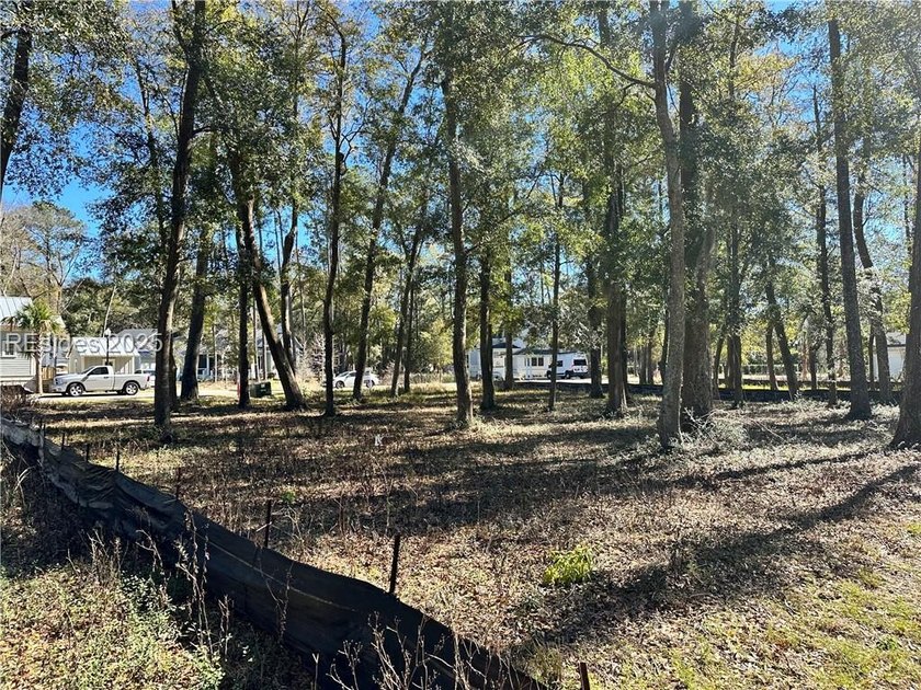 LAST AVAILABLE PARK FRONT LOT IN WHITEHALL POINT! Seize the rare - photo 11