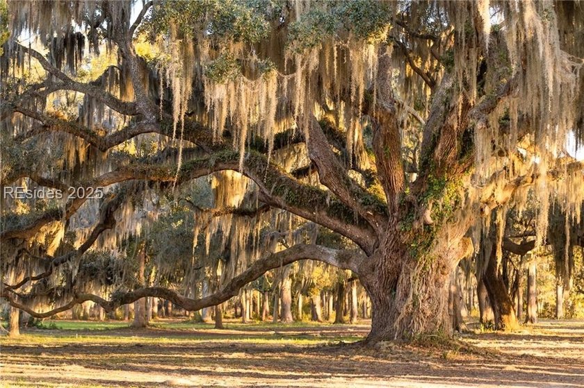 LAST AVAILABLE PARK FRONT LOT IN WHITEHALL POINT! Seize the rare - photo 17
