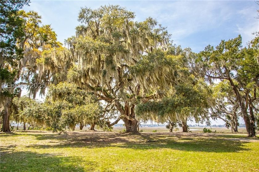 LAST AVAILABLE PARK FRONT LOT IN WHITEHALL POINT! Seize the rare - photo 29