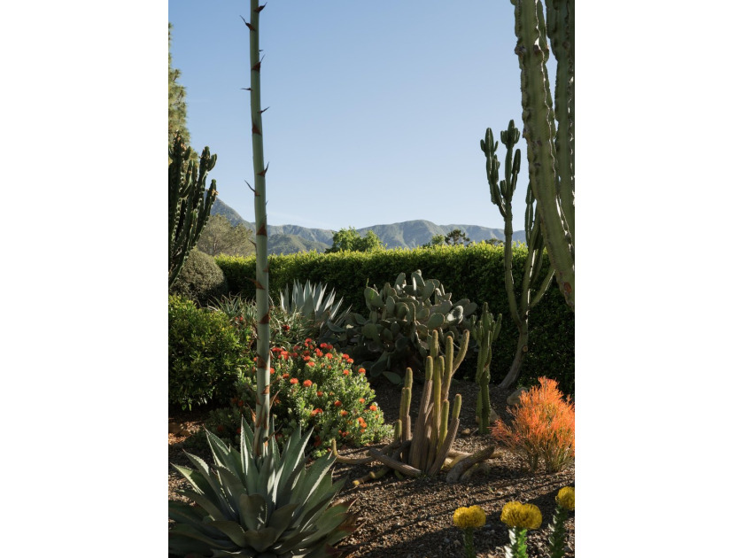 Privately situated on a cul-de-sac within coveted Birnam Wood - photo 16