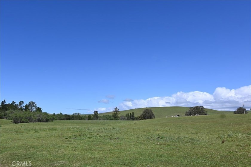 Calling all visionaries! This rare 140-acre property near the - photo 11