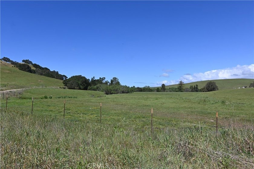 Calling all visionaries! This rare 140-acre property near the - photo 14