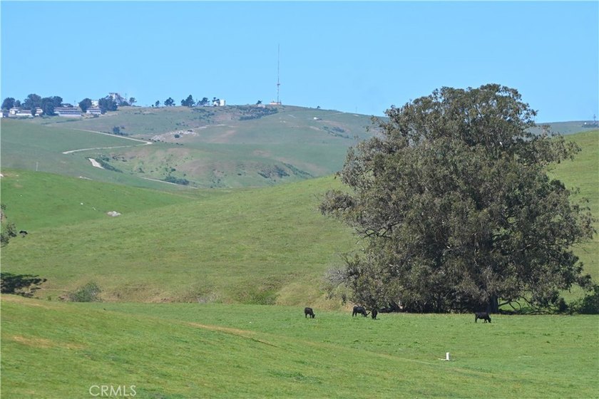 Calling all visionaries! This rare 140-acre property near the - photo 22