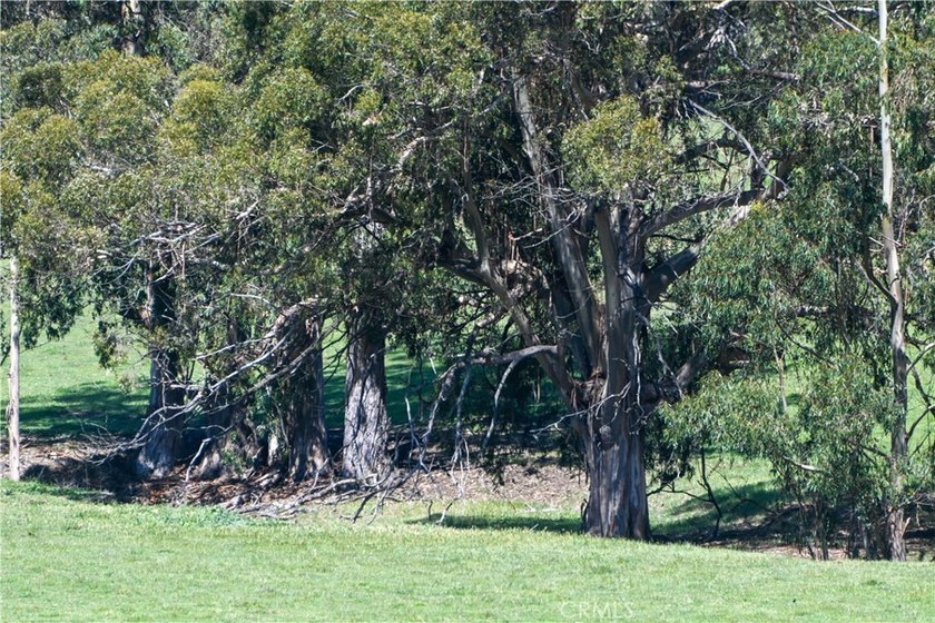 Calling all visionaries! This rare 140-acre property near the - photo 24