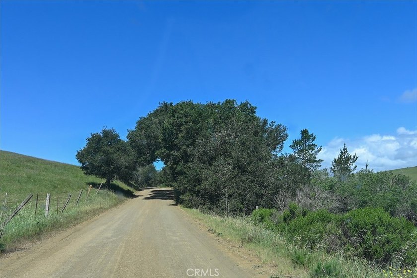Calling all visionaries! This rare 140-acre property near the - photo 30