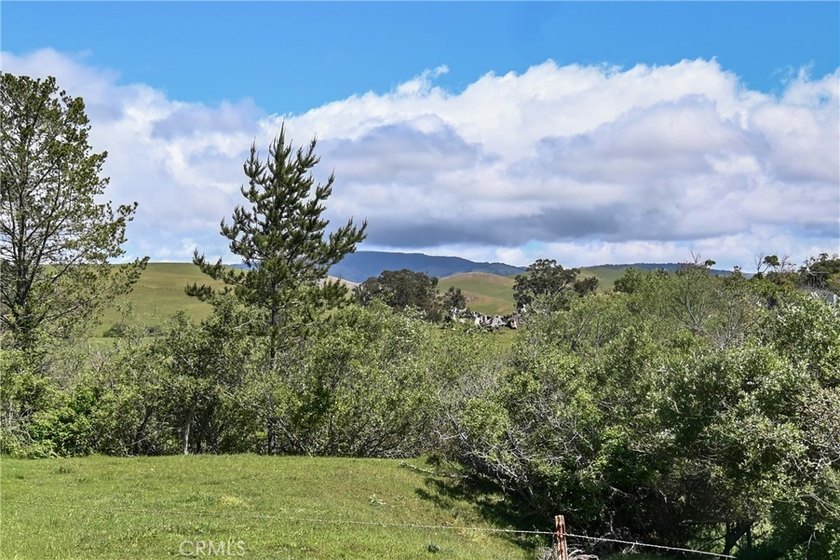 Calling all visionaries! This rare 140-acre property near the - photo 31