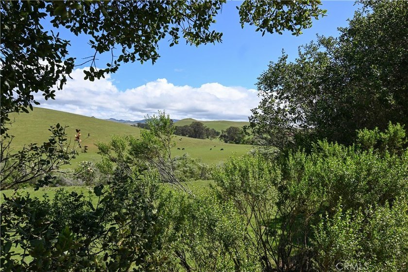 Calling all visionaries! This rare 140-acre property near the - photo 33