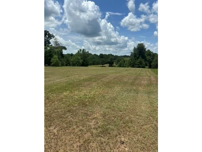 Build your dream home in the desirable Willow Walk Subdivision! - photo 3