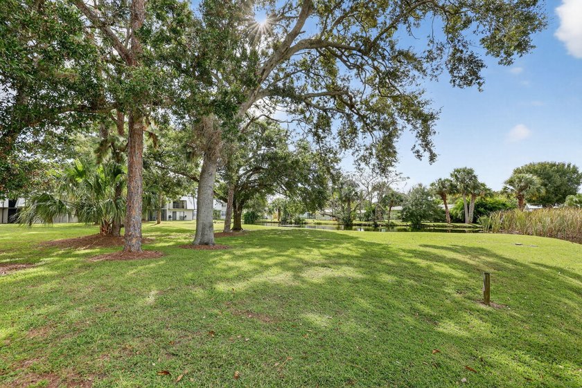 Exceptional one bedroom, one bath property with stone - photo 19