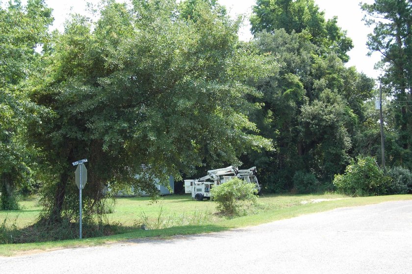Nice corner lot in Kensington just waiting on you to build your - photo 3